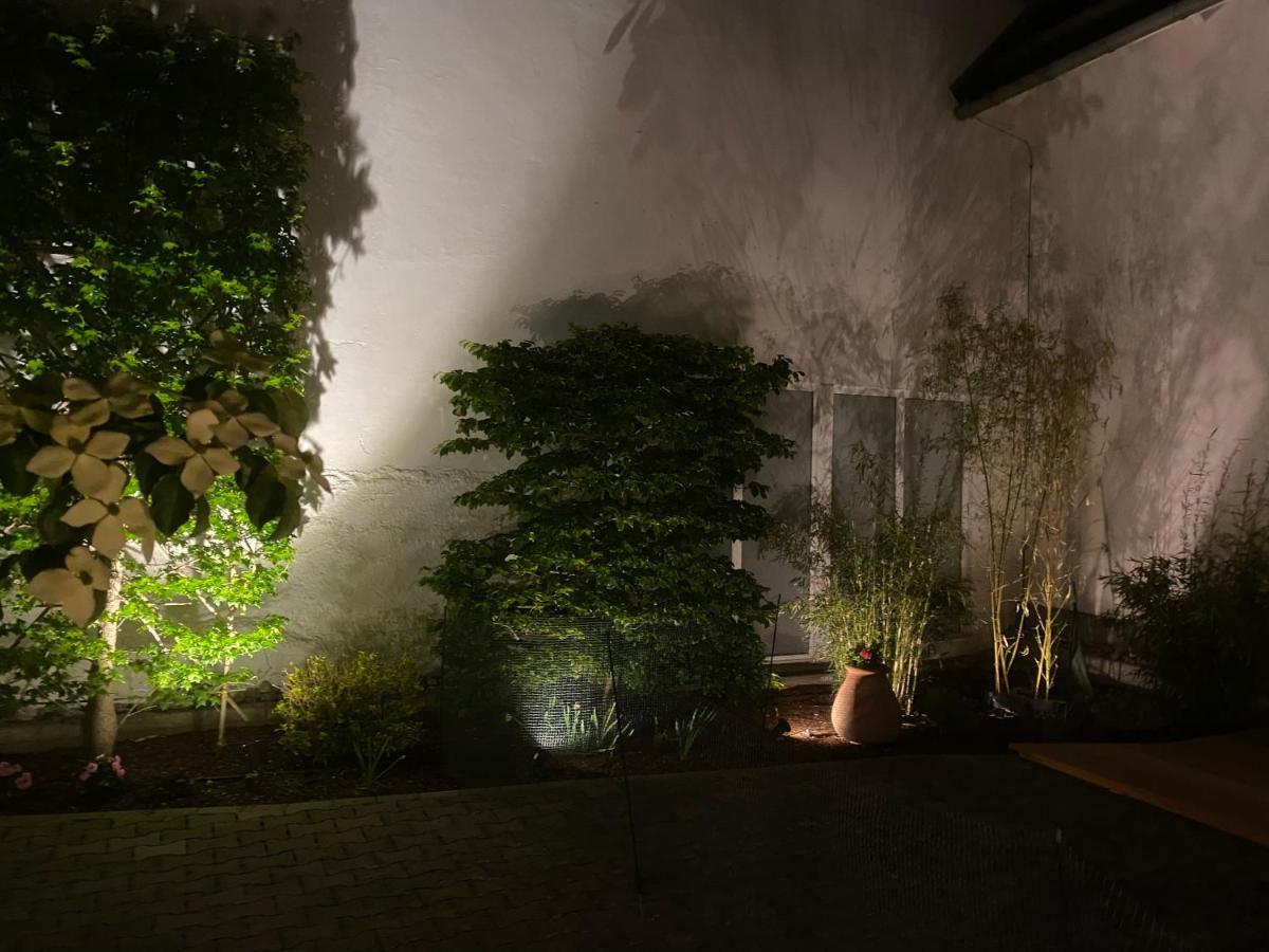 Altstadt-Chalet @Conny'S Brilon Exterior foto